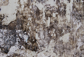 Detail of old grungy wall bacground or texture