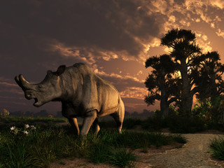 Fototapeta na wymiar Megacerops coloradensis, a prehistoric rhinoceros, also known as brontothereum, lived in North America during eocene, about 35 million years ago. 3D Rendering 