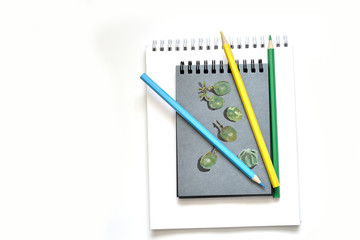 Two notebooks and crayons.