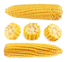 Corn Clipping Path isolated on white background