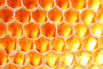 close up of hexagon texture golden bee hive background.
