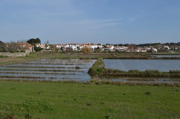 Marais salants à Noirmoutier