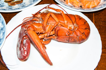 red bright boiled lobster lies on  white plate dish