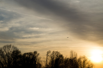 Airone in volo al Tramonto