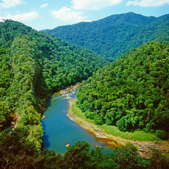 Fototapeta na wymiar Regenwaldfluss