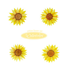 A set of watercolor flowers in yellow for design, composition, greetings. Sunflower, flower heads.   Isolated on white background.