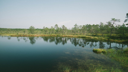 Estonia Nationalpark Lake View