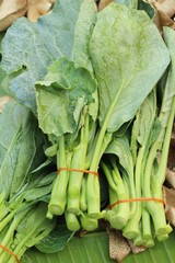 Obraz premium chinese kale for cooking at street food