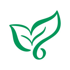 Logo of green leaf of tea. Ecology nature element vector icon. Eco vegan bio calligraphy hand drawn illustration