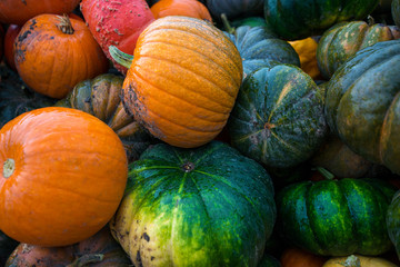 Trailer full of fresh pumpkins. Rich harvest in autumn or fall on farm in November. Beautiful, colorful autumn background. Preparing for Halloween. Delicious and healthy vegetables and fruits. 