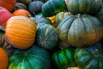 Trailer full of fresh pumpkins. Rich harvest in autumn or fall on farm in November. Beautiful, colorful autumn background. Preparing for Halloween. Delicious and healthy vegetables and fruits. 
