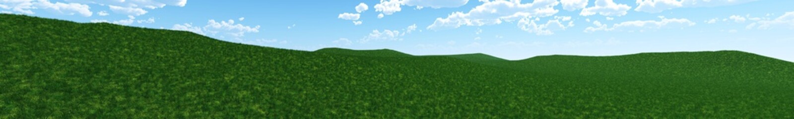 Green grass and blue sky, panorama