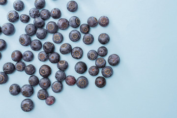 Lot of whole fresh sweet purple blueberry american flatlay isolated on blue pastel background