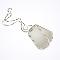 Military dog tags isolated on white