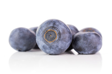 Group of six whole fresh sweet purple blueberry american isolated on white background