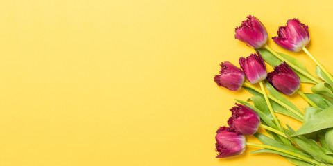 Spring concept. Fresh tulips on yellow background. Copy space