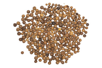 Lot of whole dry brown allspice berries flatlay isolated on white background
