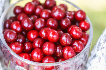 Ripe cherries in a transparent cup. Fresh red cherry fruits in summer garden in the countryside.