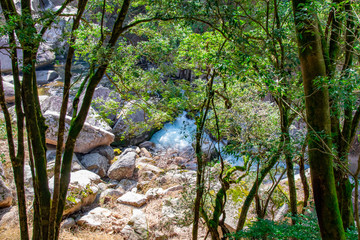Fototapeta premium 鬼の舌震 遊歩道から渓谷を望む The rapid stream and rocks beneath the woods at Oni-no-Shitaburui Gorge in Okuizumo Town, Shimane pref. Japan