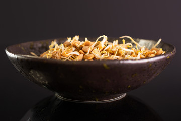 Lot of whole raw fresh yellow lentil sprouts in a grey ceramic bowl isolated on black glass