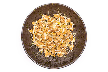 Lentil sprouts isolated on white