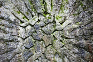 An Image of a stone