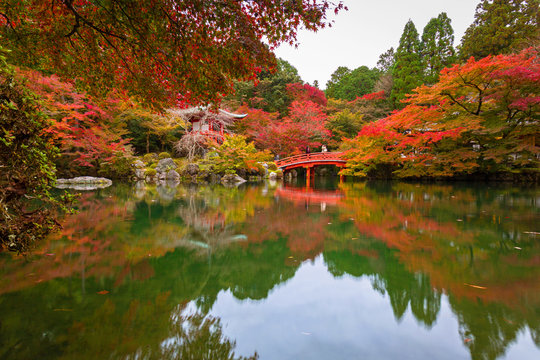 Beautiful japanese garden with colorful maple trees in autumn, Kyoto © Patryk Kosmider