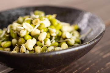 Lot of whole fresh green bean sprouts mungo in a grey ceramic bowl on brown wood