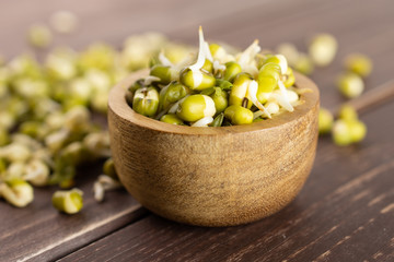 Lot of whole fresh green bean sprouts mungo with wooden bowl on brown wood