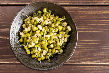 Lot of whole fresh green bean sprouts mungo in a grey ceramic bowl flatlay on brown wood