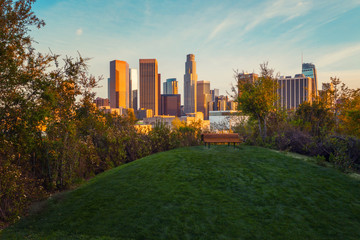 Spectacular view of downtown Los Angeles from the beautiful recreation area with green grass and a...