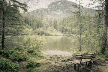 Alone bench in natural forest and lake in mountains