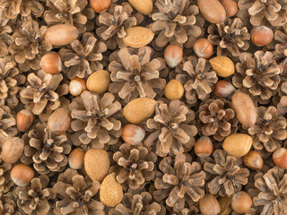 Dry Brown Pine Cones Background, Texture or Pattern