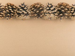 Naklejka na ściany i meble Dry Brown Pine Cones Background, Texture or Pattern