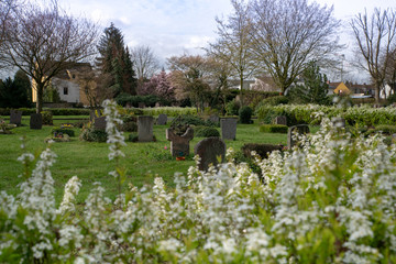 Fototapeta na wymiar Blick über einen Friedhof
