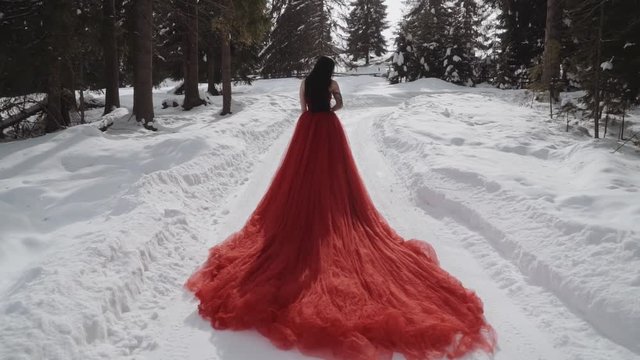 Young beautiful woman in long red dress over winter background. Fairy tale  girl on winter landscape.