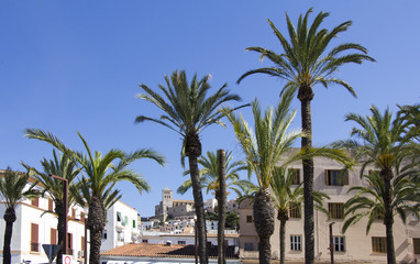 Fototapeta premium Ibiza town of Eivissa with the cathedral and old town