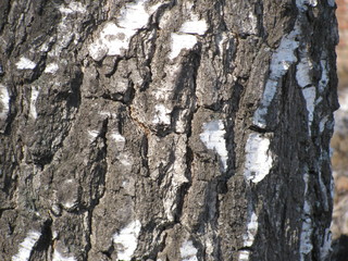 дизайн графика