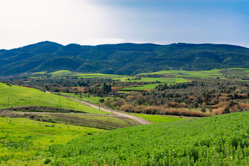 Obraz premium Green Hills and a Road near the Roman Ruins of Volubilis in Morocco