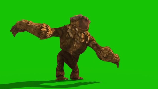 Orangutans Dies Back Green Screen Monkey Animals 3D Rendering Animation