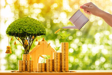 Woman hand hold a tank of coin watering a plant with growing value as money bag of tree and wooden...