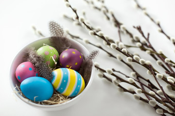 holidays and object concept - colored easter eggs with quail feathers in bowl and pussy willow branches on white background
