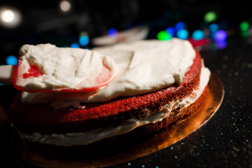 Woman spreading whipped cream over freshly made cake, creating ornaments and decorating dessert....