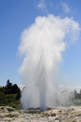 Geyser