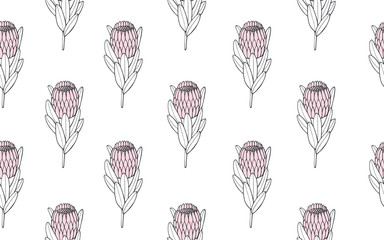 Tropical seamless pattern with exotic protea. Hand drawn vector