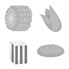 Vector design of agriculture and nutrition sign. Set of agriculture and vegetable stock symbol for web.