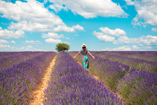 France, Provence, Valensole plateau, back view of woman standing among lavender fields in summer