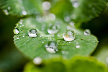 Gotas de agua macro