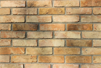 Old beautiful light brown brickwork under the shadow of tree branches. Perfect background for photo wallpapers.