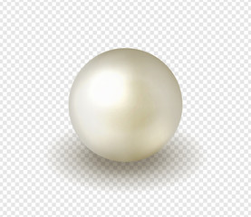 Natural, shiny, sea  pearl on a transparent background. Vector illustration